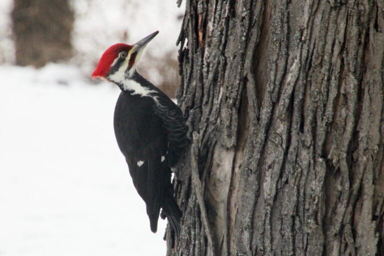 On The Road - pat - Calendar 2020 8