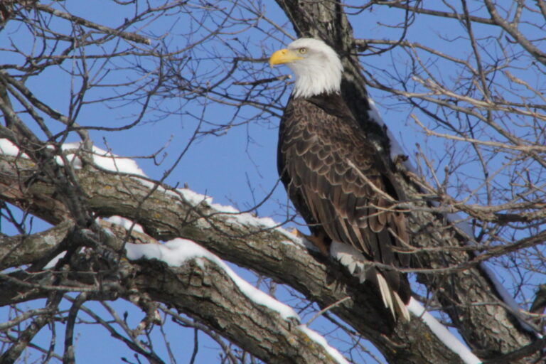 On The Road - pat - Calendar 2020 9