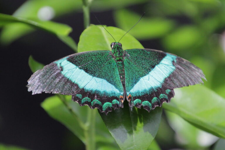 On The Road - pat - Calendar 2020 7