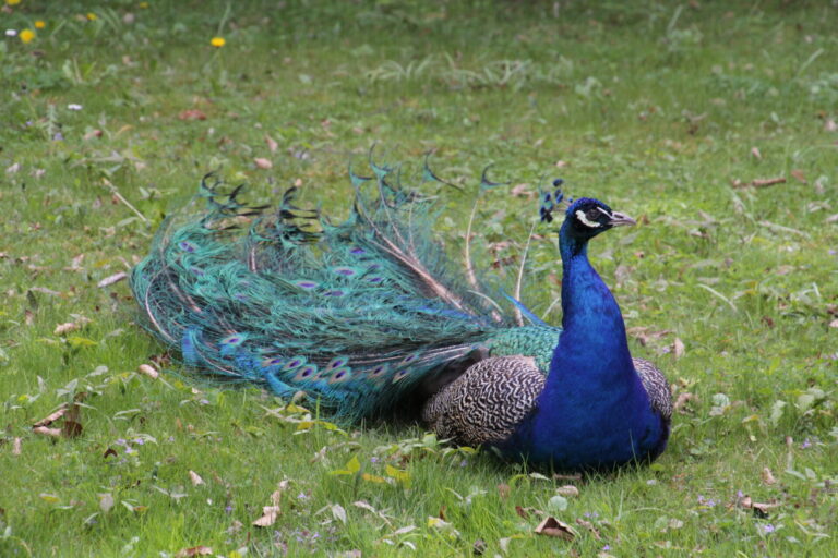 On The Road - pat - Calendar 2020 6