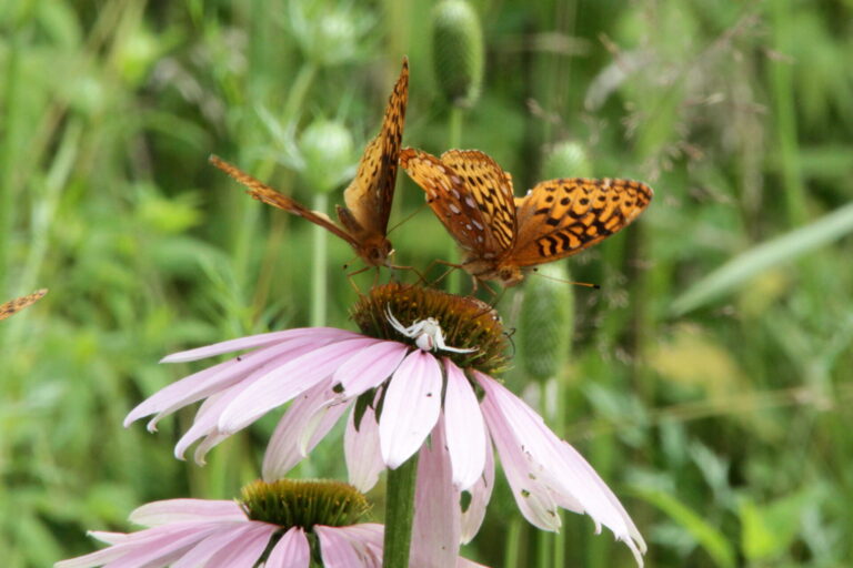 On The Road - pat - Calendar 2020 4