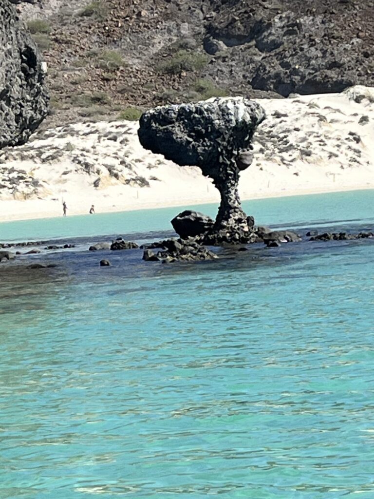 On The Road - Beckya57 - Baja Blast 9