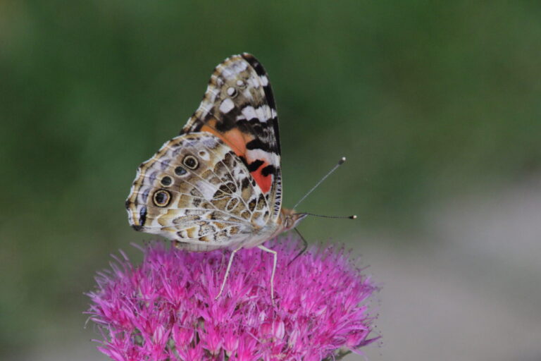 On The Road - pat - Calendar 2020 3