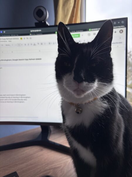 behold, Monty the oracle