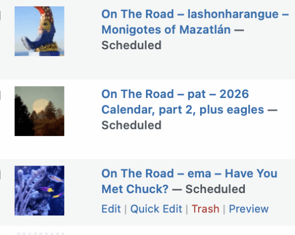 On The Road - lashonharangue - Monigotes of Mazatlán 8