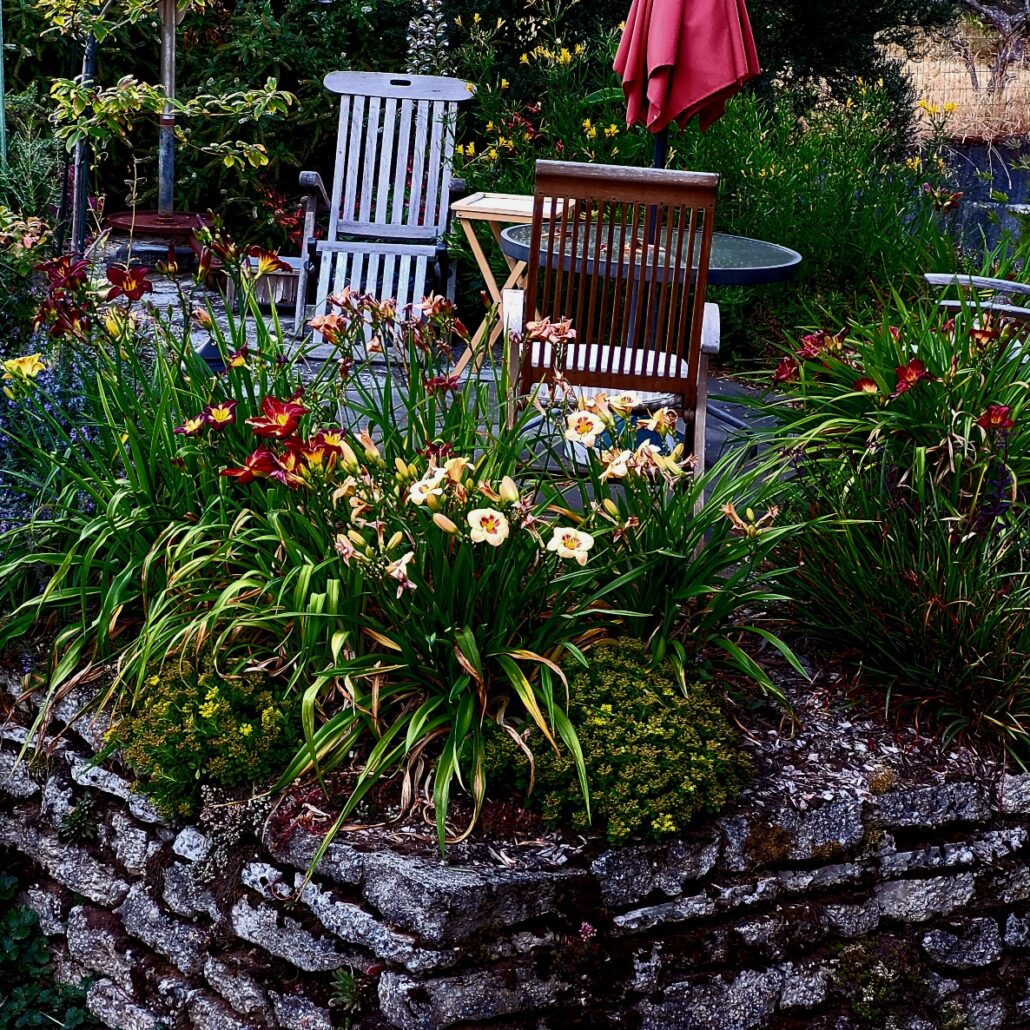 Sunday Morning Garden Chat:  Garden Design Thoughts 3