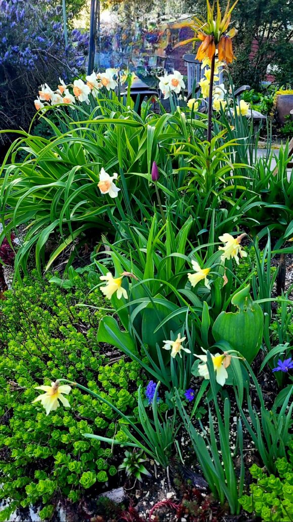 Sunday Morning Garden Chat:  Garden Design Thoughts