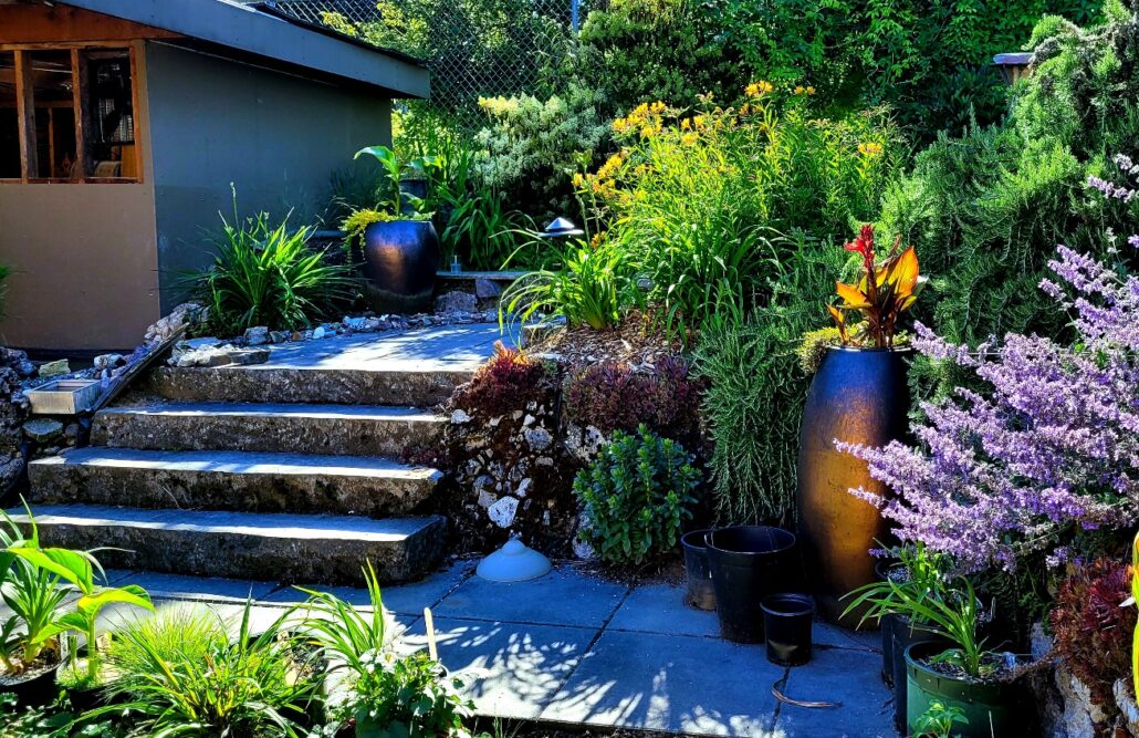 Sunday Morning Garden Chat:  Garden Design Thoughts 5