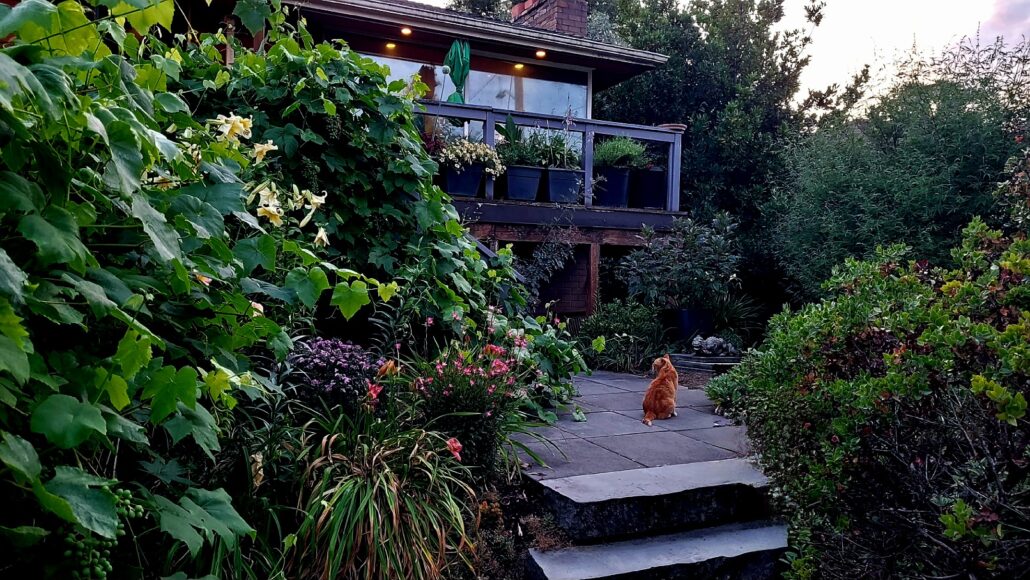 Sunday Morning Garden Chat:  Garden Design Thoughts 6