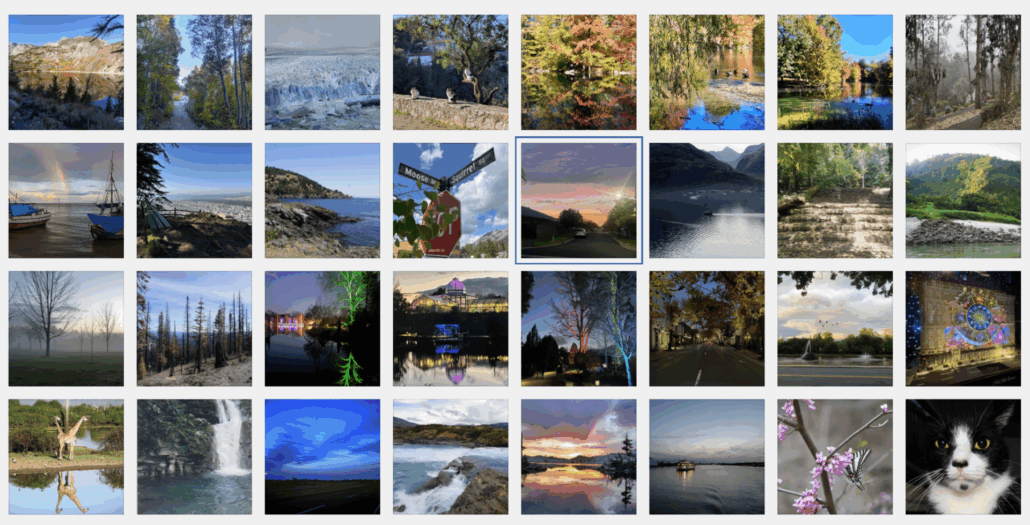 Taking a Break from the News 19