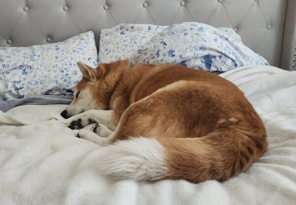 Tuesday Night Open Thread 28