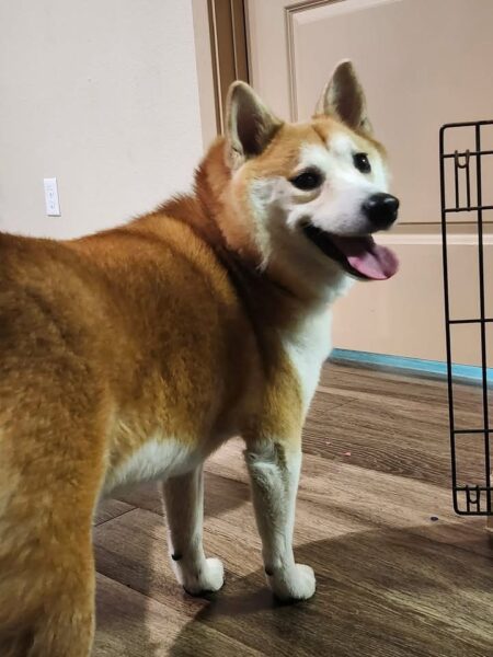 Tuesday Night Open Thread 27