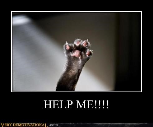A demotivational poster saved from the old Very Demotivational site. It is a cat's paw with the bottom of the paw facing the viewer raised in the air. Below the paw the caption reads "Help Me!!!!"