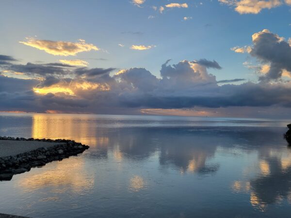 On The Road - Winter Wren - Sugarloaf Key 3