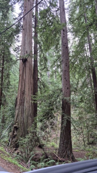 On The Road - HinTN - Kicking around the Peninsula below San Francisco 2
