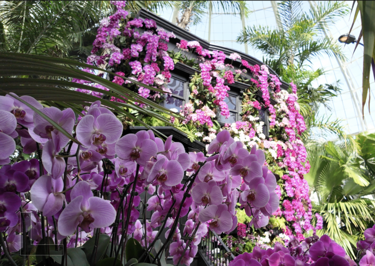 On The Road - ema - Next Stop: Orchid Avenue 9