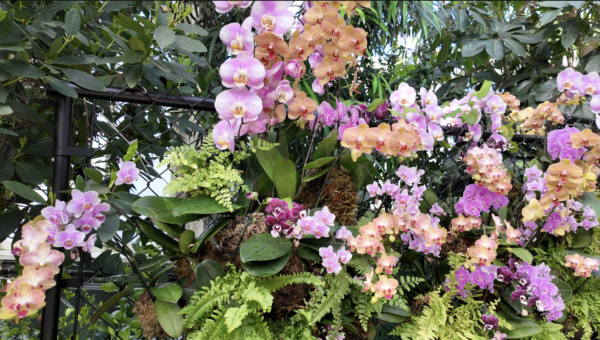 On The Road - ema - Next Stop: Orchid Avenue 8