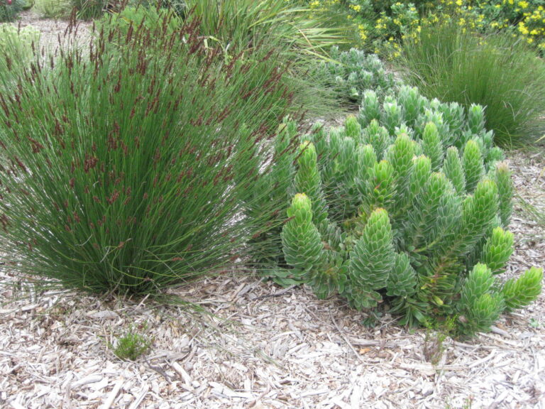 On The Road - Elma - International Garden Tour Part 2 4