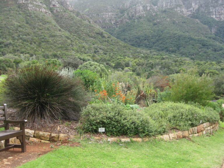 On The Road - Elma - International Garden Tour Part 2 8