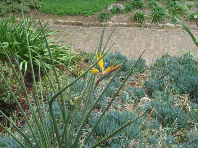 On The Road - Elma - International Garden Tour Part 2 5