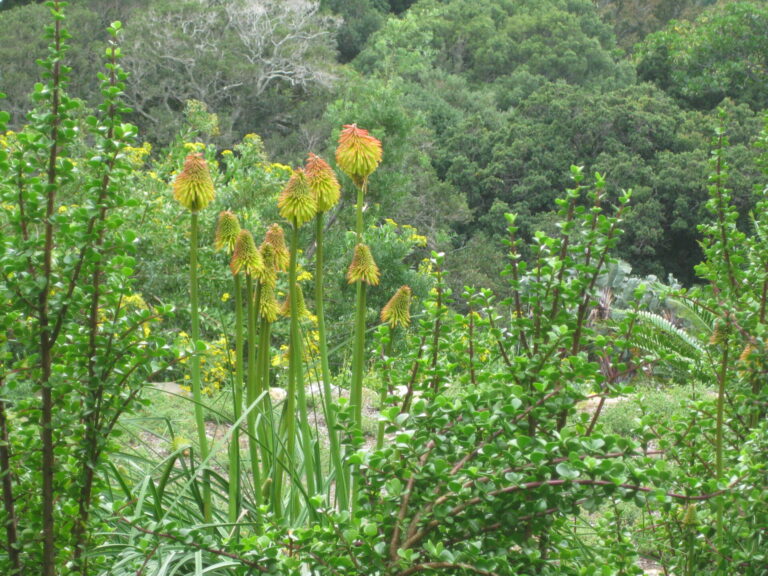 On The Road - Elma - International Garden Tour Part 2 1