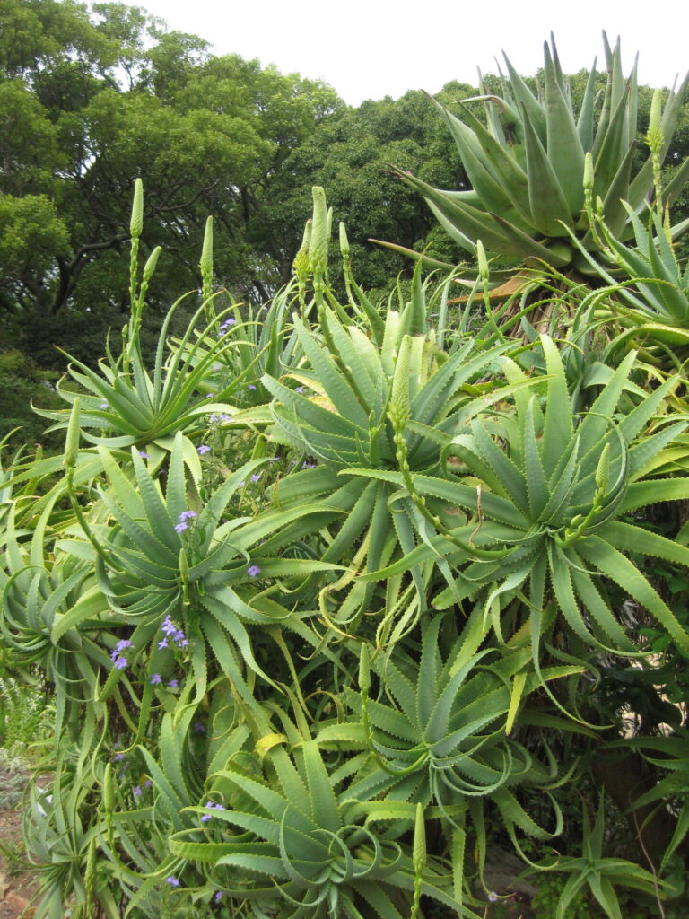 On The Road - Elma - International Garden Tour Part 2 2