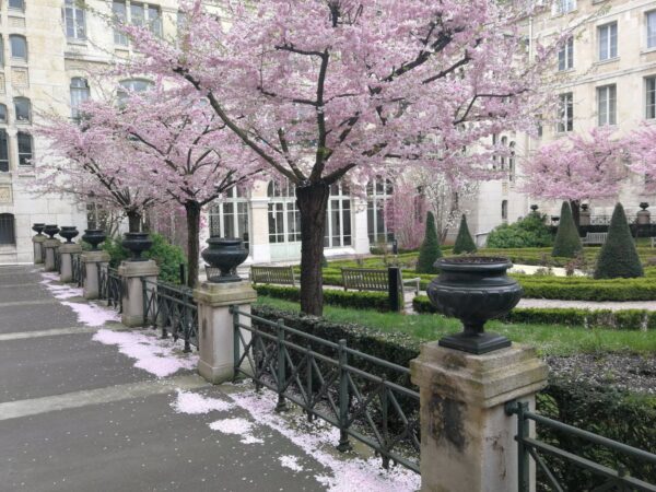 On The Road - donatellonerd - Springtime in Paris 9