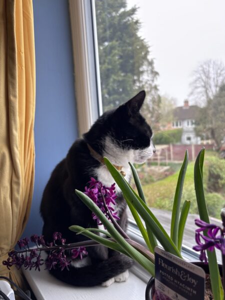 Fried-Day Open Thread: Let's All Stare into Space for a Bit