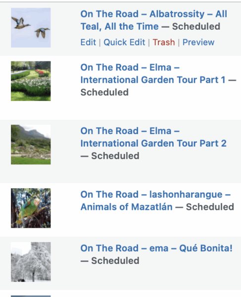 On The Road - Albatrossity - All Teal, All the Time 10