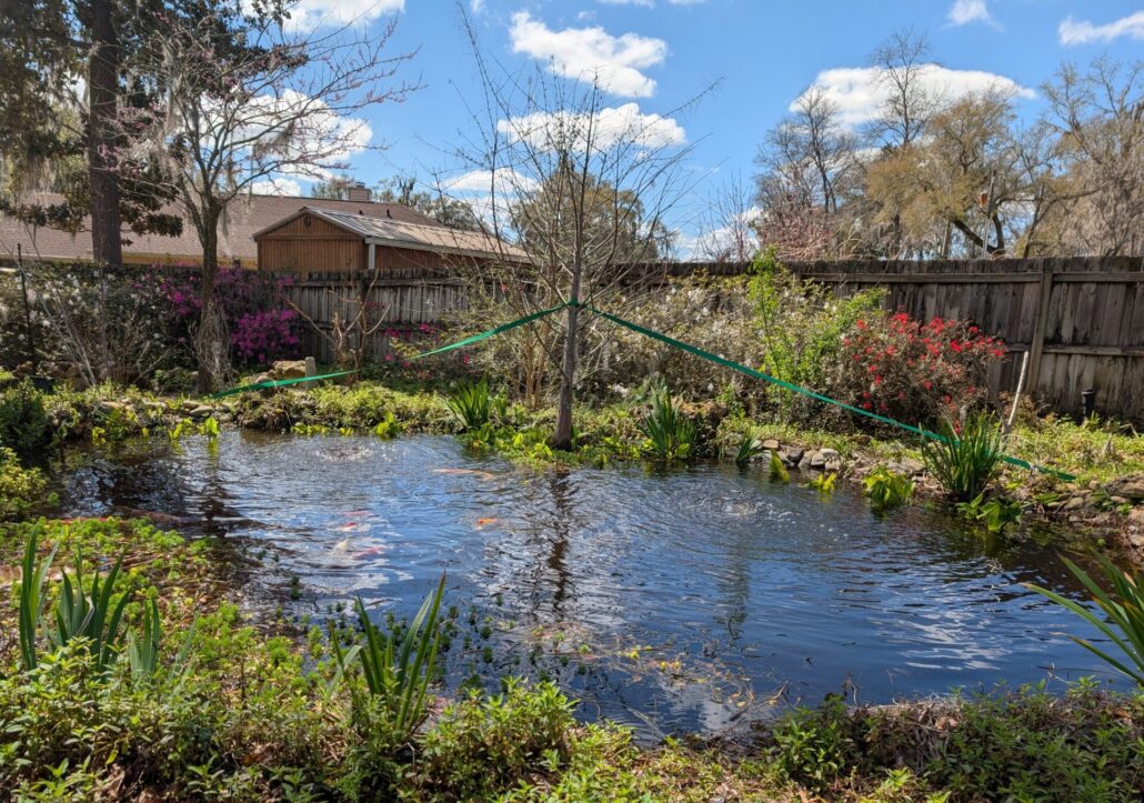 Sunday Morning Garden Chat: Spring Returns to North Central Florida