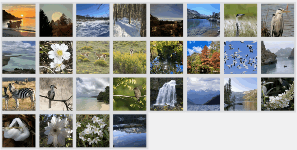 Taking a Break from the News 23