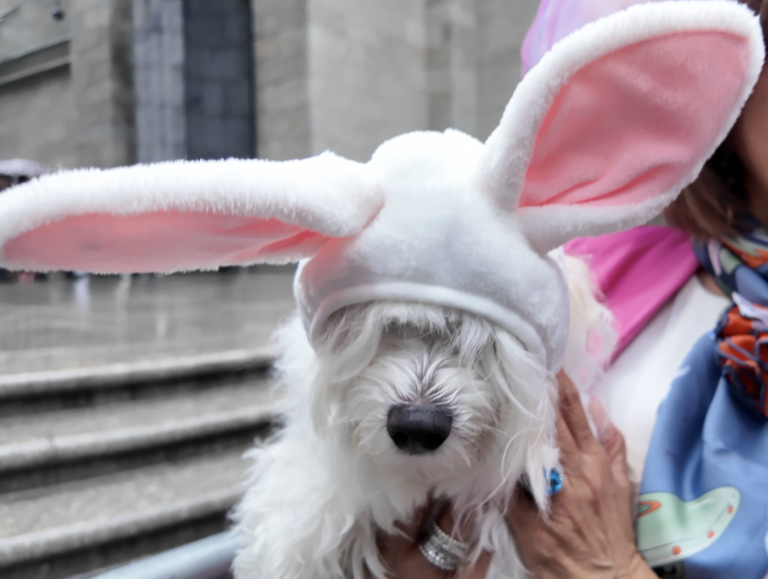 On The Road - ema - Easter Rain 9