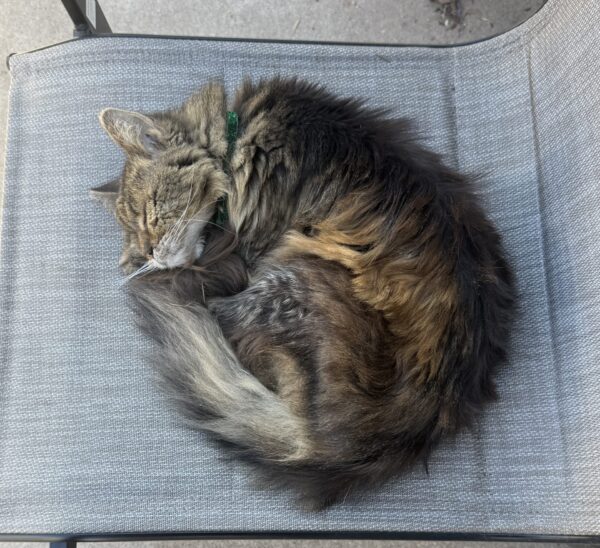 Late Night Open Thread 30