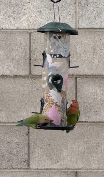 Monday Night Open Thread 46