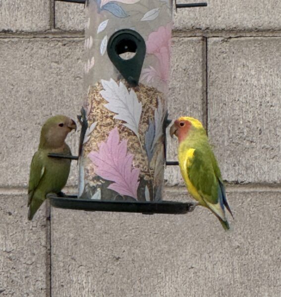 Monday Night Open Thread 48