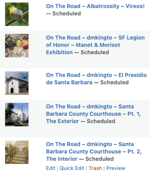 On The Road - Albatrossity - Vireos! 10