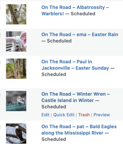 On The Road - Albatrossity - Warblers! 10