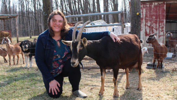 Amanda Bell with a large horned goat