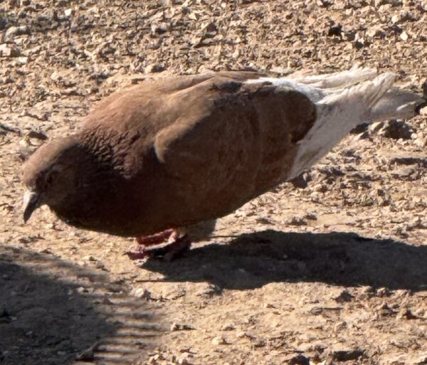 Tuesday Night Open Thread 30